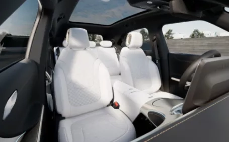 smart #1 launch edition rivestimenti interni