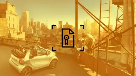 garanzia smart usata