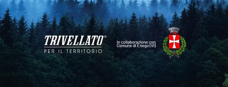 trivellato albero header