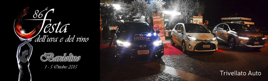 Festa dell'Uva e del Vino a Bardolino con Trivellato Auto