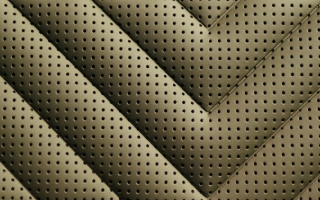 nuova smart #5 rivestimento in pelle