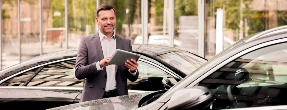 trivellato usato garantito