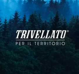 Trivellato per il territorio: un albero piantato ad ogni auto venduta