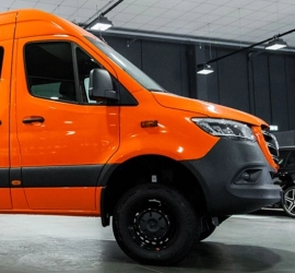 Veicoli trasporto cani: le migliori soluzioni di noleggio